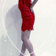 ヒメ日記 2025/04/03 14:30 投稿 まこ 石庭