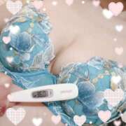 ヒメ日記 2025/04/08 12:50 投稿 まこ 石庭