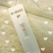 ヒメ日記 2025/04/08 13:20 投稿 まこ 石庭