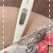 ヒメ日記 2025/04/09 14:00 投稿 まこ 石庭