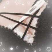 ヒメ日記 2025/04/10 13:20 投稿 まこ 石庭