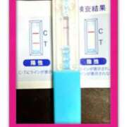 ヒメ日記 2025/04/15 20:20 投稿 まこ 石庭