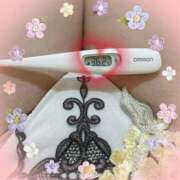 ヒメ日記 2025/04/22 14:50 投稿 まこ 石庭