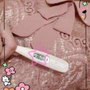 ヒメ日記 2025/04/23 13:02 投稿 まこ 石庭