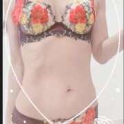 ヒメ日記 2025/04/24 10:30 投稿 まこ 石庭