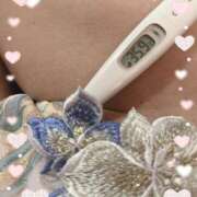 ヒメ日記 2025/04/24 12:33 投稿 まこ 石庭