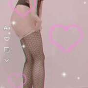 ヒメ日記 2025/04/24 22:20 投稿 まこ 石庭