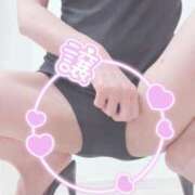 ヒメ日記 2025/04/26 10:20 投稿 まこ 石庭