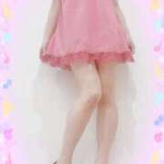 ヒメ日記 2025/04/26 15:20 投稿 まこ 石庭