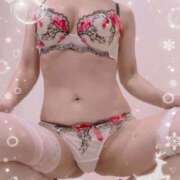 ヒメ日記 2025/04/29 15:33 投稿 まこ 石庭