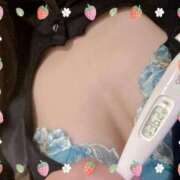 ヒメ日記 2025/04/30 14:17 投稿 まこ 石庭