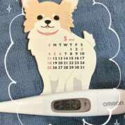 ヒメ日記 2025/05/01 12:00 投稿 まこ 石庭