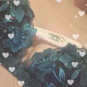 ヒメ日記 2025/05/03 14:51 投稿 まこ 石庭