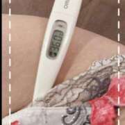 ヒメ日記 2025/05/06 15:22 投稿 まこ 石庭