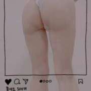 ヒメ日記 2025/05/06 21:50 投稿 まこ 石庭