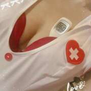 ヒメ日記 2025/05/10 12:51 投稿 まこ 石庭