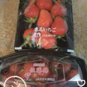 ヒメ日記 2025/05/15 21:33 投稿 まこ 石庭