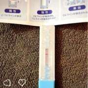 ヒメ日記 2025/05/24 13:20 投稿 まこ 石庭