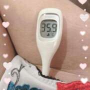 ヒメ日記 2025/05/25 12:20 投稿 まこ 石庭