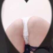 ヒメ日記 2025/05/25 21:30 投稿 まこ 石庭