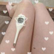 ヒメ日記 2025/05/29 11:35 投稿 まこ 石庭