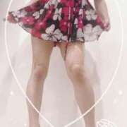 ヒメ日記 2025/05/29 20:50 投稿 まこ 石庭