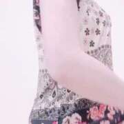 ヒメ日記 2025/05/31 21:20 投稿 まこ 石庭