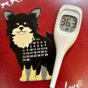 ヒメ日記 2025/06/01 16:00 投稿 まこ 石庭