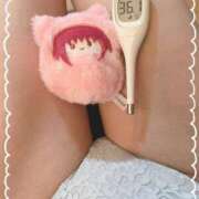 ヒメ日記 2025/06/03 12:20 投稿 まこ 石庭