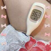 ヒメ日記 2025/06/04 16:20 投稿 まこ 石庭