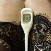 ヒメ日記 2025/06/08 13:00 投稿 まこ 石庭