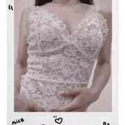 ヒメ日記 2025/06/10 21:50 投稿 まこ 石庭