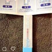 ヒメ日記 2025/06/11 14:20 投稿 まこ 石庭