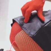 ヒメ日記 2025/06/17 20:50 投稿 まこ 石庭