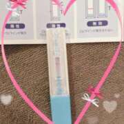 ヒメ日記 2025/06/18 15:30 投稿 まこ 石庭