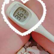 ヒメ日記 2025/06/19 14:30 投稿 まこ 石庭