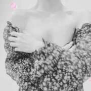 ヒメ日記 2025/06/19 15:30 投稿 まこ 石庭