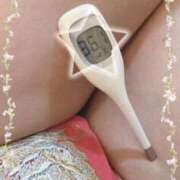 ヒメ日記 2025/06/24 11:50 投稿 まこ 石庭