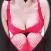 ヒメ日記 2025/06/24 21:34 投稿 まこ 石庭