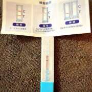 ヒメ日記 2025/06/26 10:50 投稿 まこ 石庭