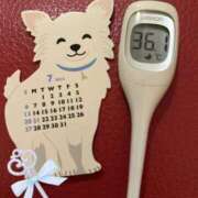 ヒメ日記 2025/07/01 15:34 投稿 まこ 石庭