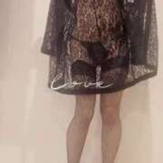 ヒメ日記 2025/07/02 20:50 投稿 まこ 石庭