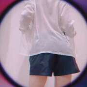 ヒメ日記 2025/07/02 22:20 投稿 まこ 石庭