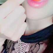 ヒメ日記 2025/07/03 20:50 投稿 まこ 石庭