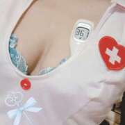 ヒメ日記 2025/07/05 14:35 投稿 まこ 石庭