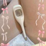 ヒメ日記 2025/07/06 14:20 投稿 まこ 石庭