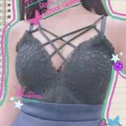 ヒメ日記 2025/07/06 22:10 投稿 まこ 石庭