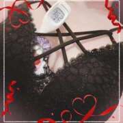 ヒメ日記 2025/07/08 12:50 投稿 まこ 石庭