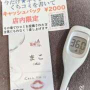 ヒメ日記 2025/07/09 14:10 投稿 まこ 石庭