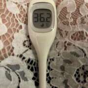 ヒメ日記 2025/07/12 13:20 投稿 まこ 石庭